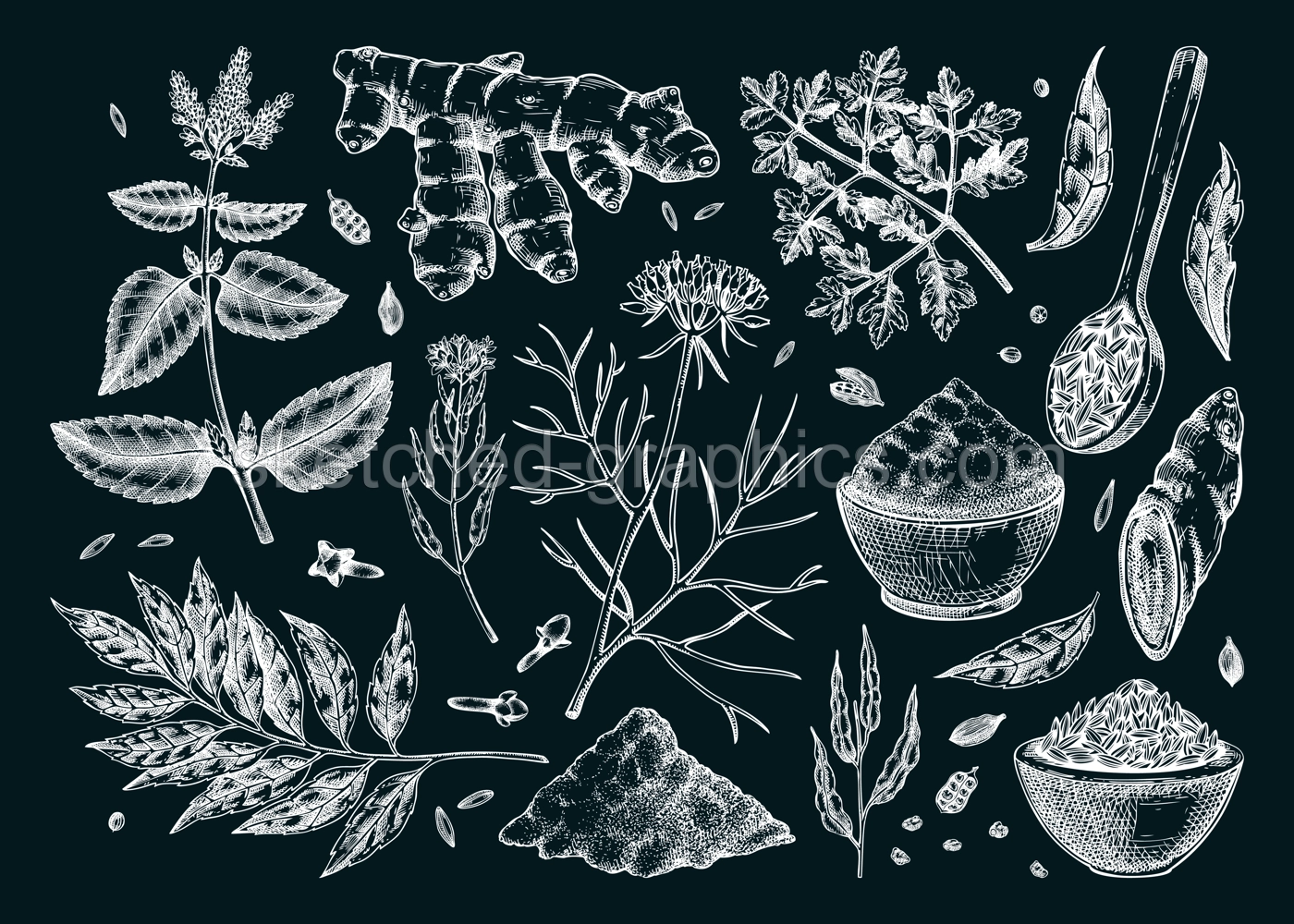 Indian cuisine herb and spice sketches set. Curry, cumin, mustard, turmeric, coriander, cloves chalk drawing. Kitchen spices hand-drawn vector illustration. NOT AI genereted Illustration